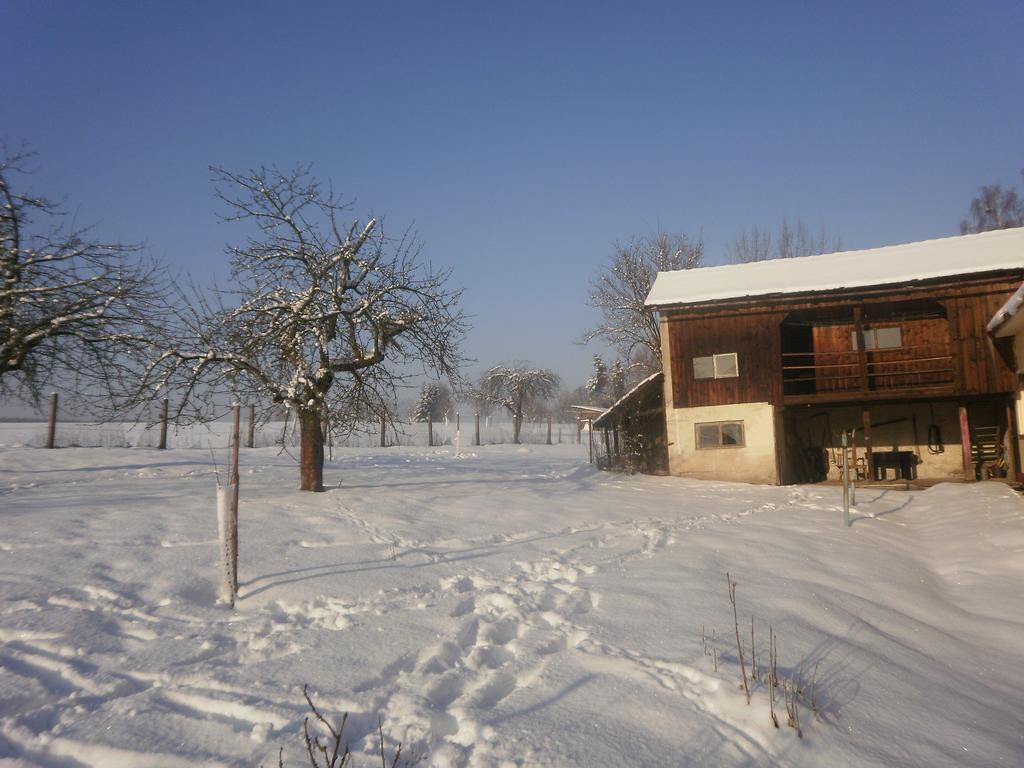 Familiehuis Fuchs Horni Branna 외부 사진